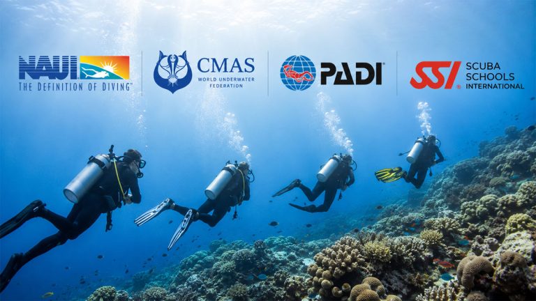 Scuba certificate comparison