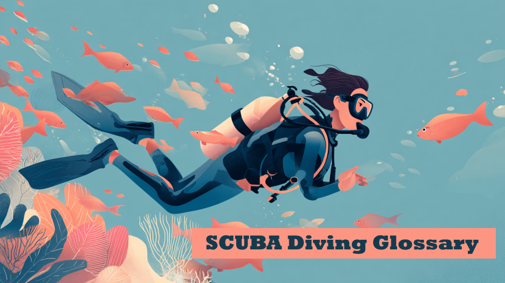 scuba diving basic glossary